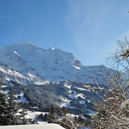 Apartment Primula By Interhome Wengen Eksteriør billede
